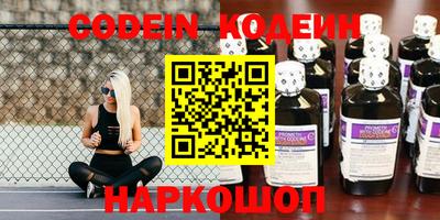 амф Камышлов