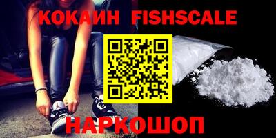 шишки Изобильный