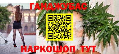 шишки Изобильный