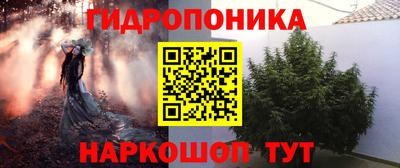 шишки Изобильный