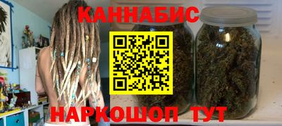 шишки Изобильный