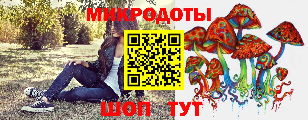 Псилоцибиновые грибы Psilocybine cubensis  Вход с VPN  Галлюциногенные грибы мухоморы  Лесной 